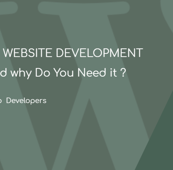 WordPress Website Development, What is it and why Do You Need it?